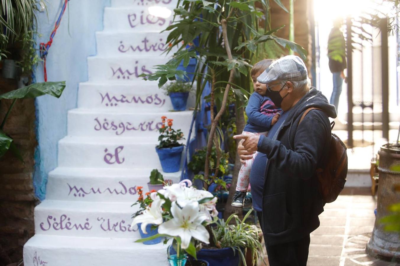 Patios Córdoba 2020 | La ruta de San Lorenzo, en imágenes