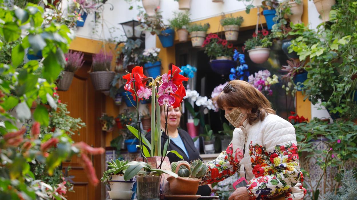 Patios Córdoba 2020 | La ruta de San Lorenzo, en imágenes