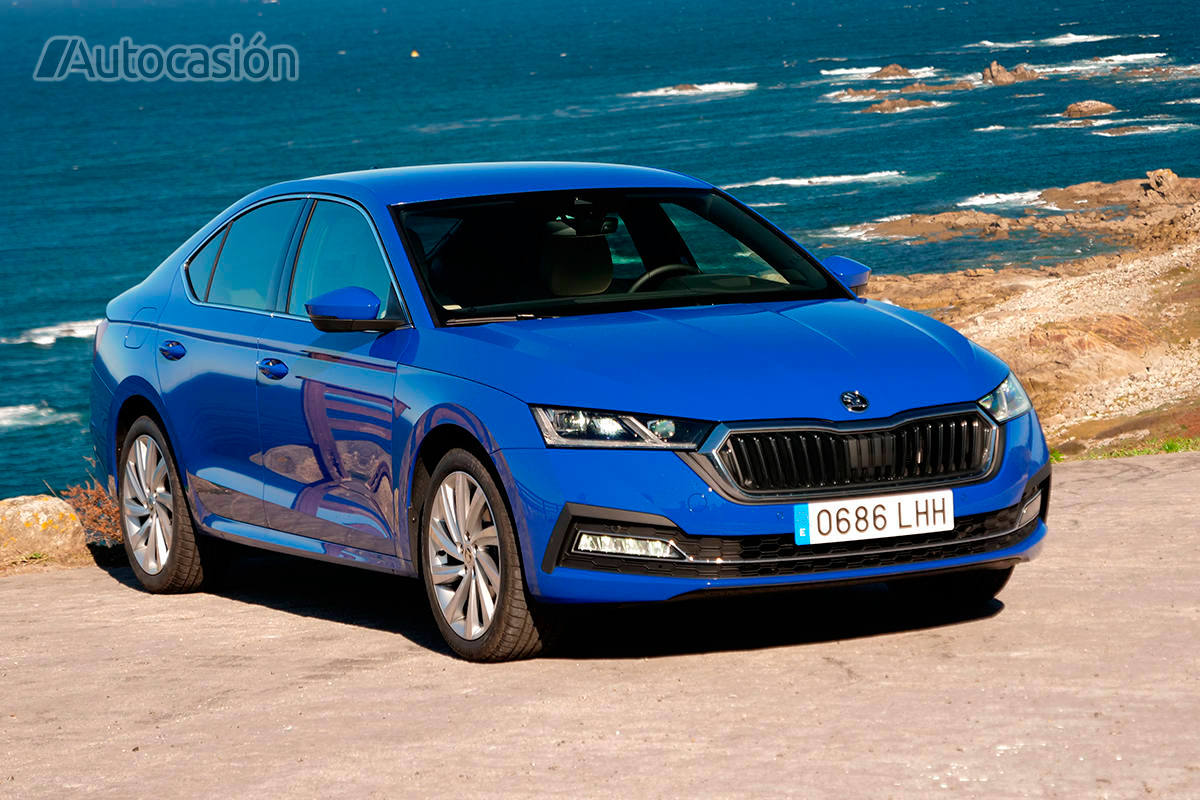 Fotogalería: Skoda Octavia 1.5 TSi 2020