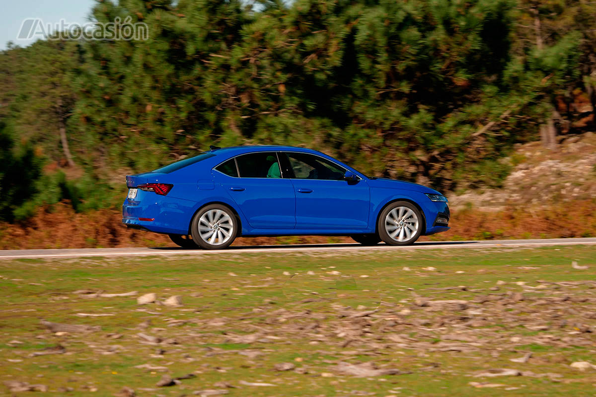 Fotogalería: Skoda Octavia 1.5 TSi 2020