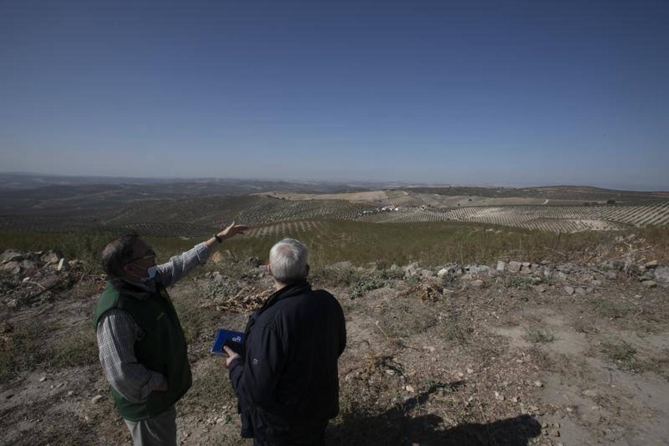 El yacimiento arqueológico de Torreparedones de Baena, en imágenes