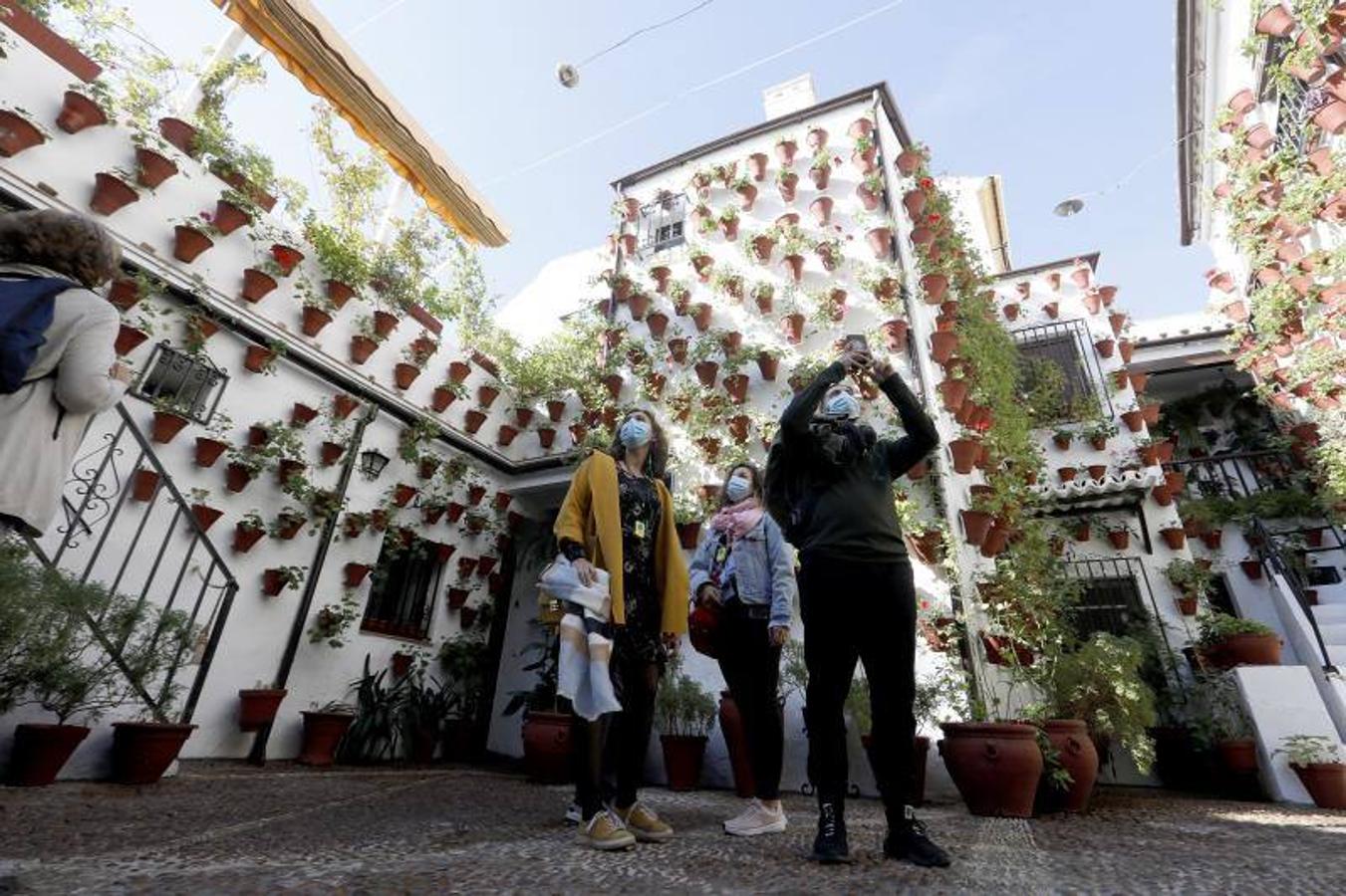 Los patios de San Basilio de Córdoba, en imágenes