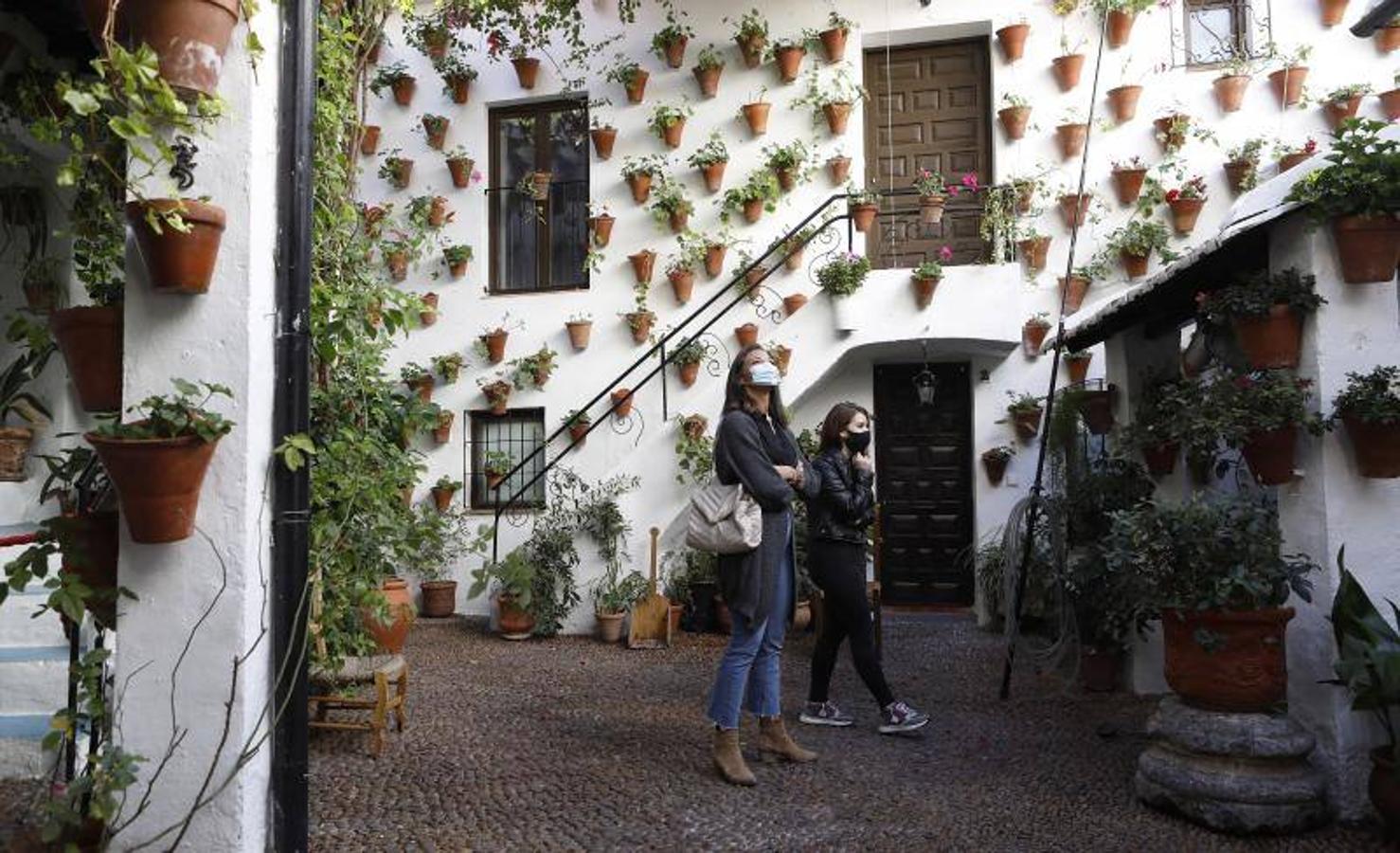 Los patios de San Basilio de Córdoba, en imágenes