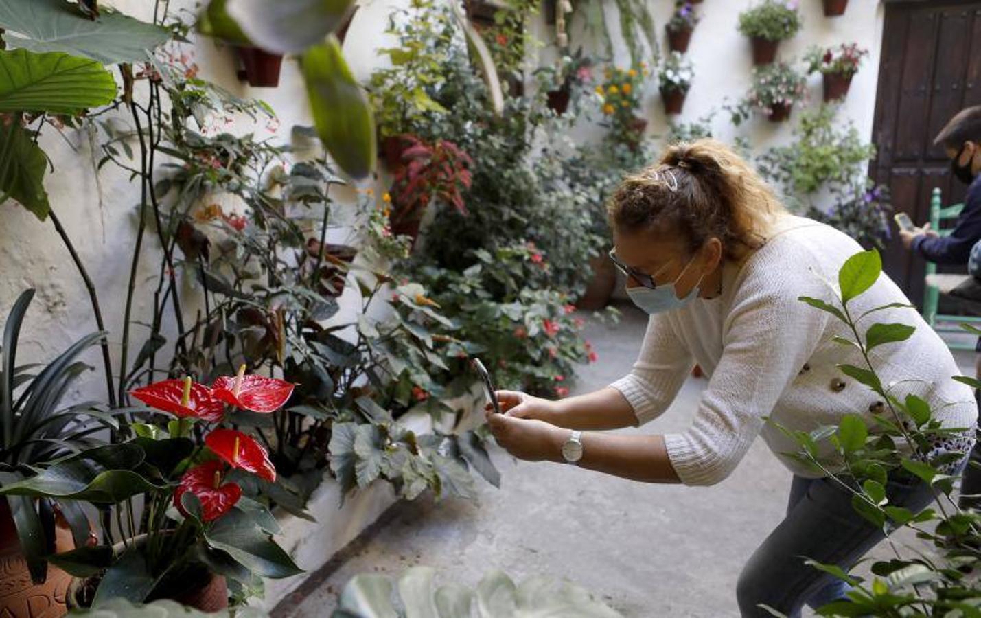 Los patios de San Basilio de Córdoba, en imágenes