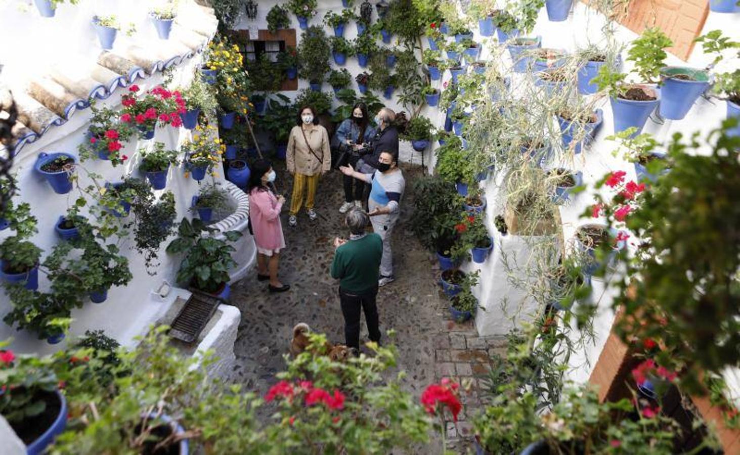 Los patios de San Basilio de Córdoba, en imágenes