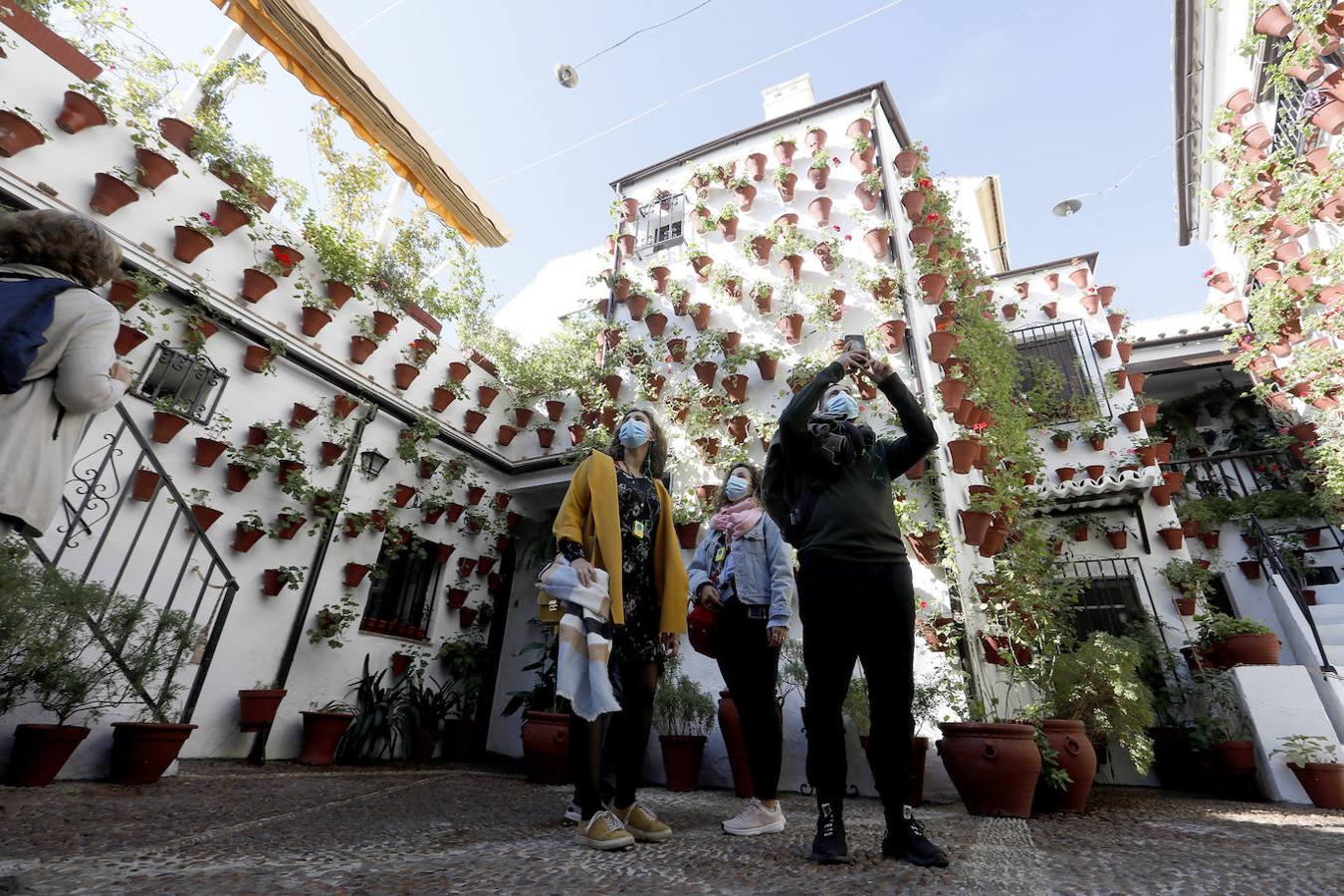 Patios de Córdoba 2020 | Los visitantes del último sábado, en imágenes