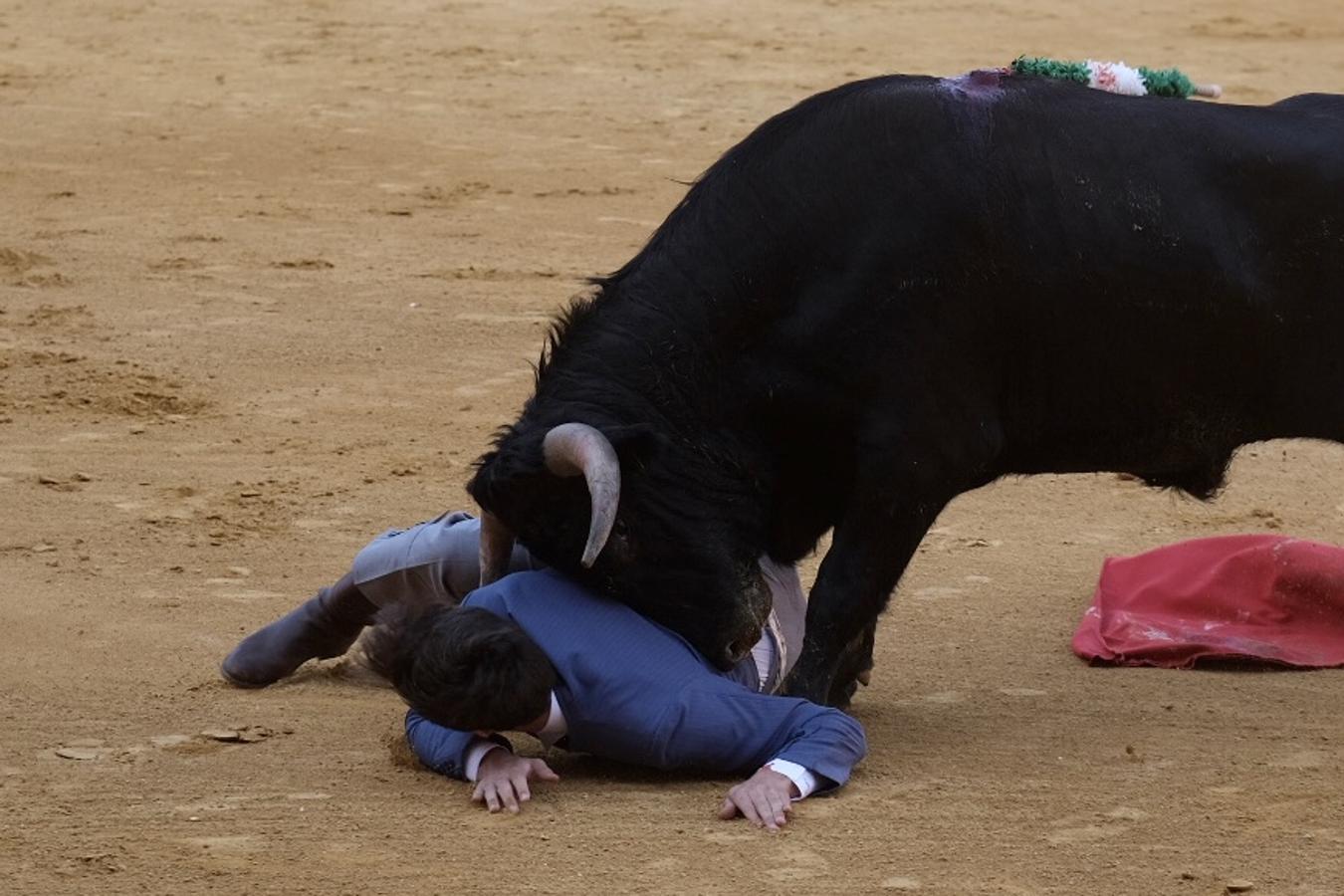 FOTOS | II Certamen de Becerristas en El Puerto