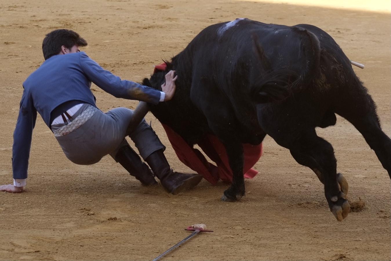 FOTOS | II Certamen de Becerristas en El Puerto