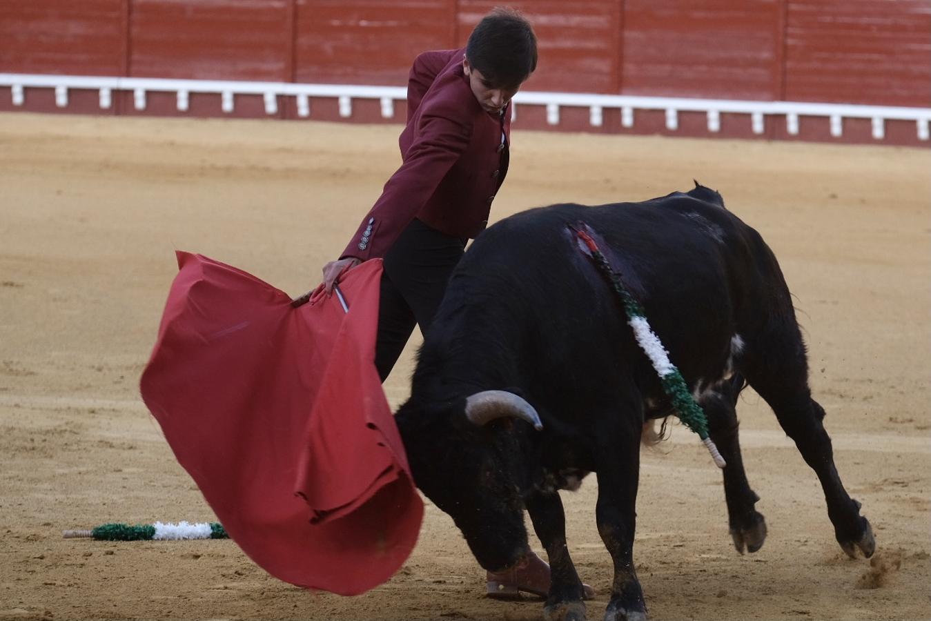 FOTOS | II Certamen de Becerristas en El Puerto