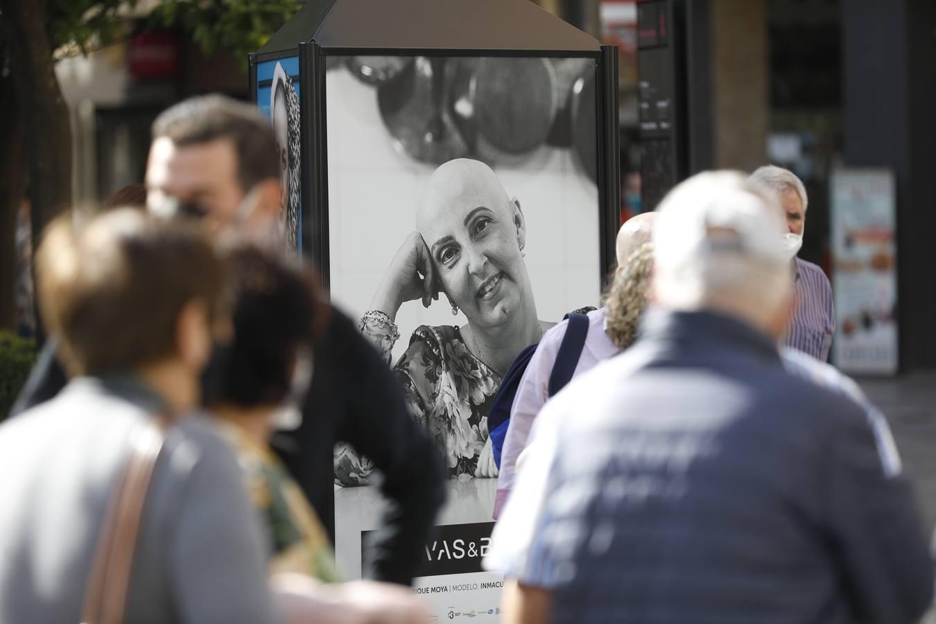 El día contra el cáncer de mama en Córdoba, en imágenes