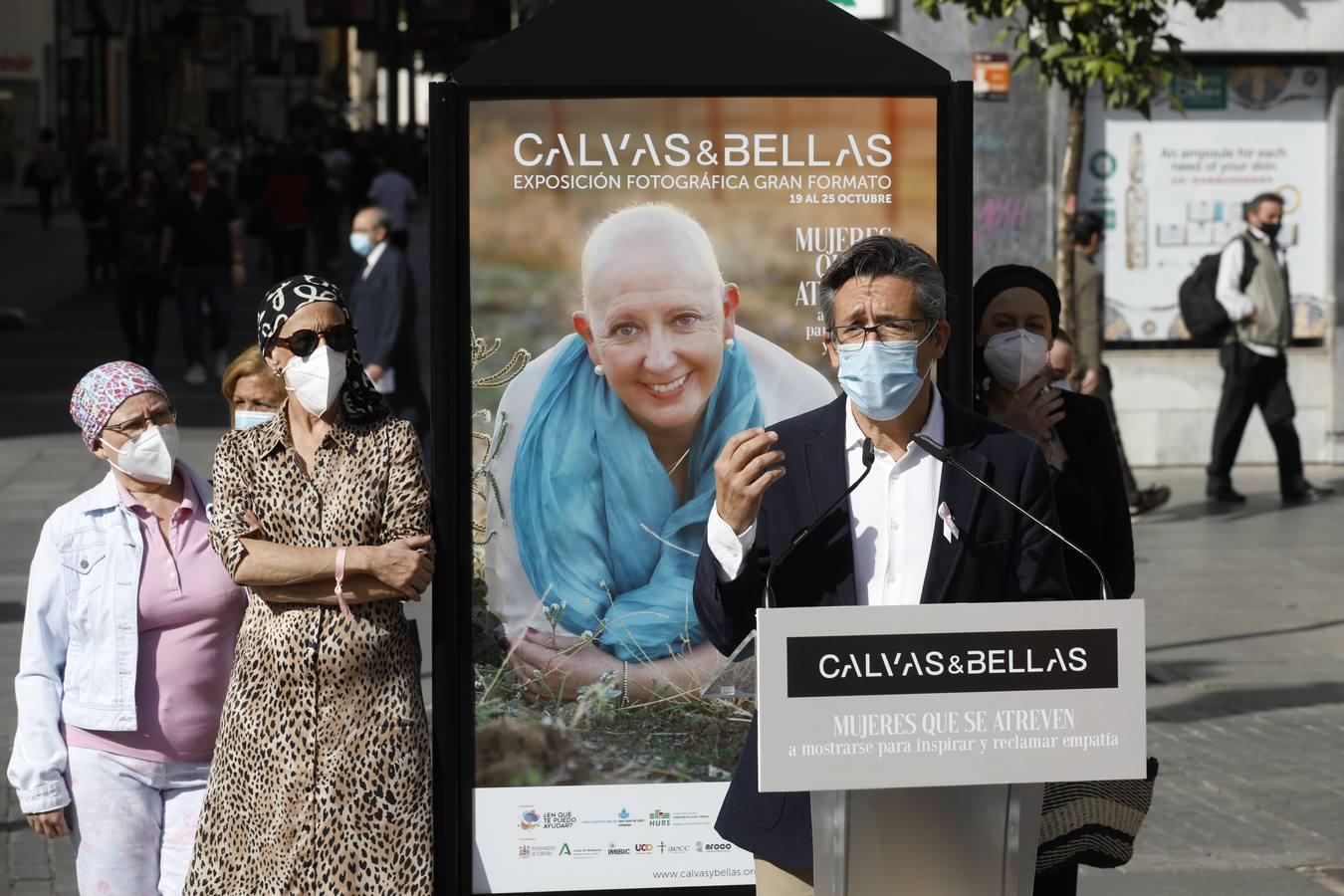 El día contra el cáncer de mama en Córdoba, en imágenes