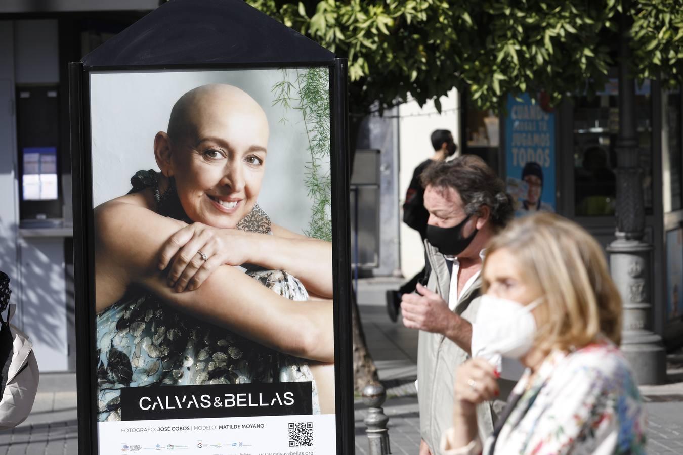 El día contra el cáncer de mama en Córdoba, en imágenes