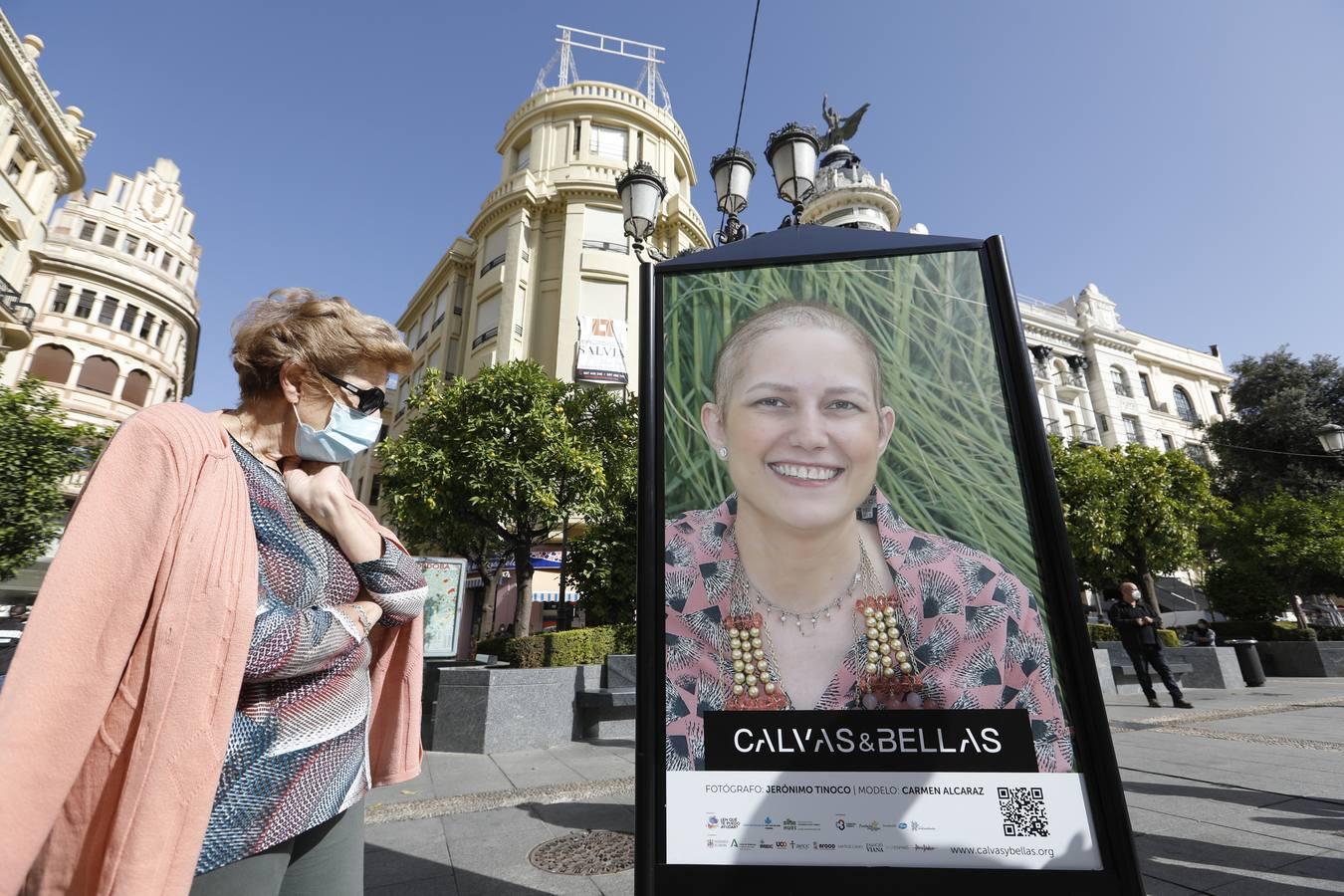 El día contra el cáncer de mama en Córdoba, en imágenes