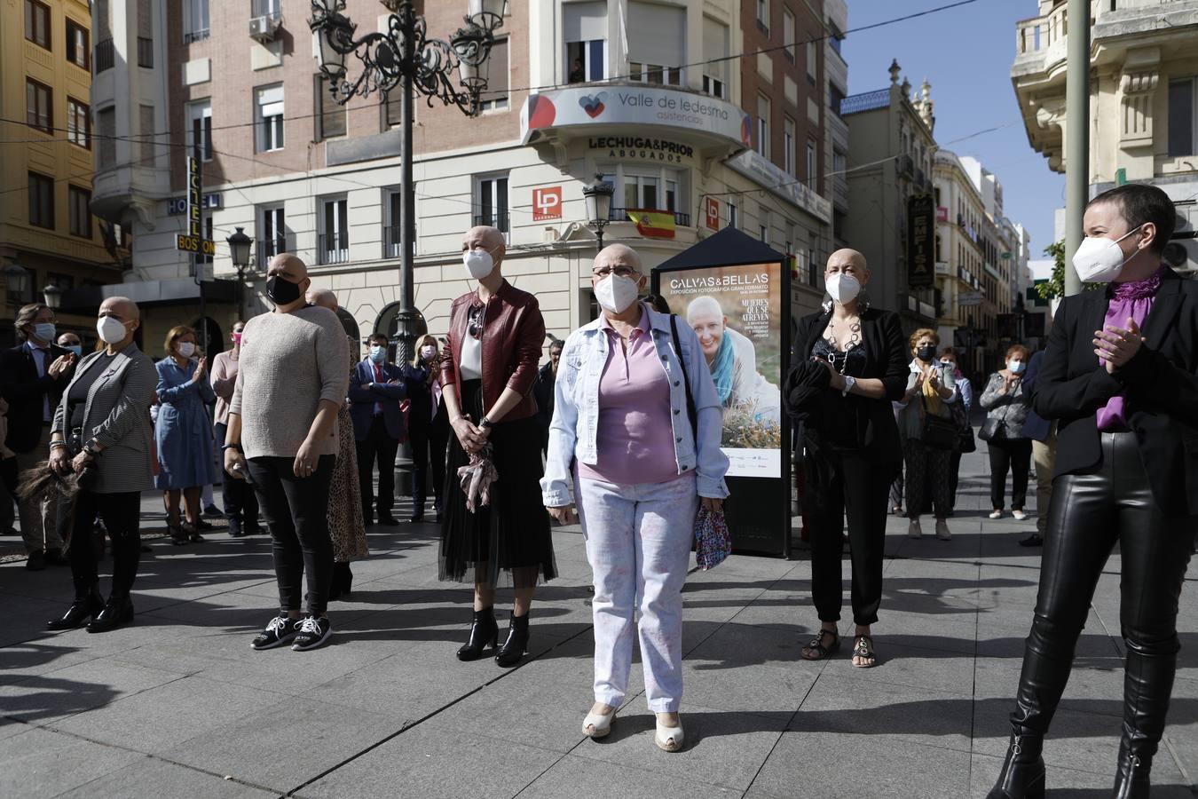 El día contra el cáncer de mama en Córdoba, en imágenes