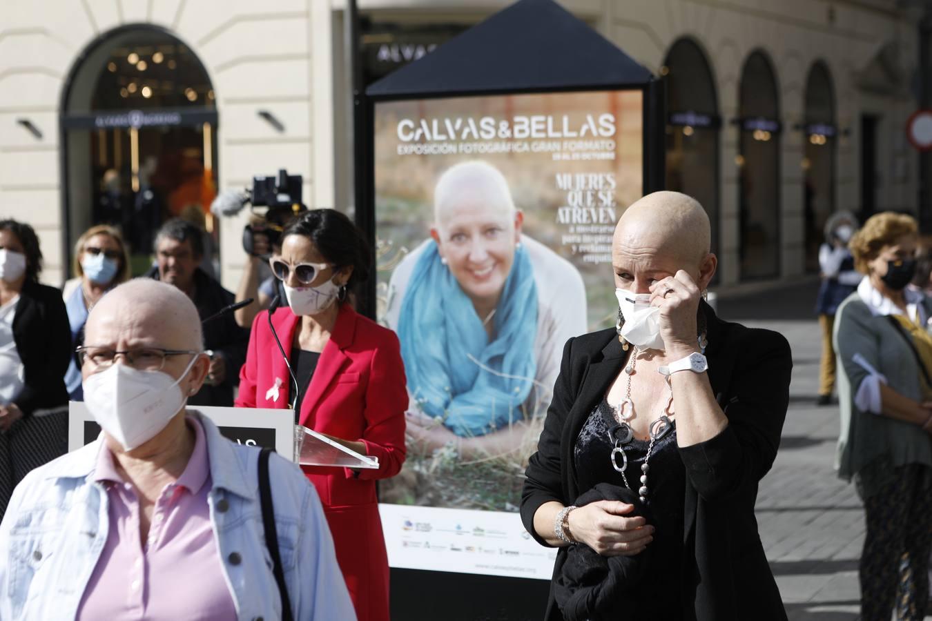 El día contra el cáncer de mama en Córdoba, en imágenes