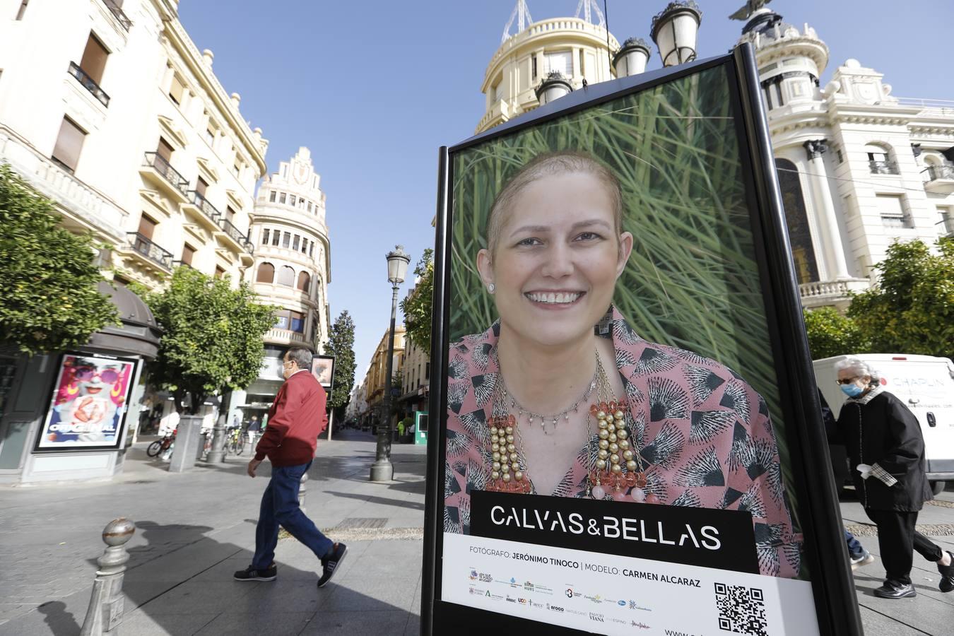 El día contra el cáncer de mama en Córdoba, en imágenes