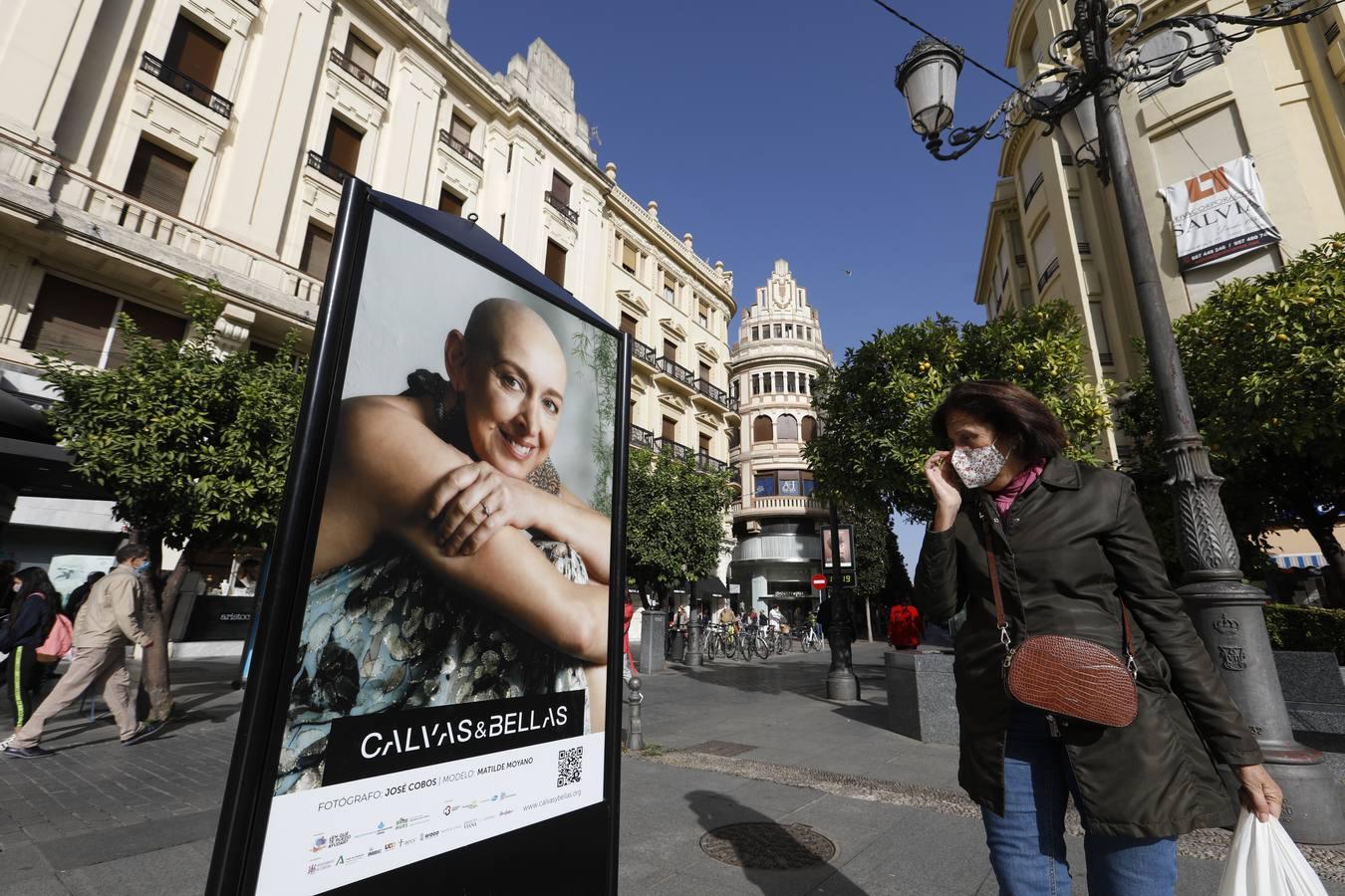 El día contra el cáncer de mama en Córdoba, en imágenes