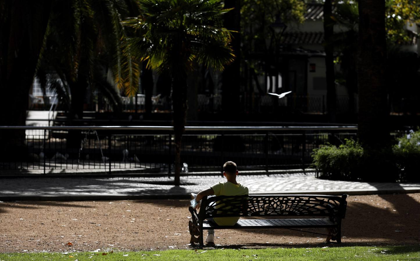 Las huellas del otoño en Córdoba, en imágenes