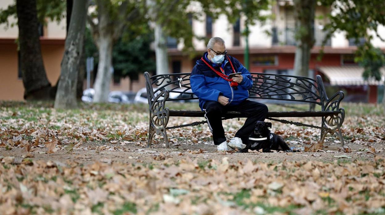 Las huellas del otoño en Córdoba, en imágenes