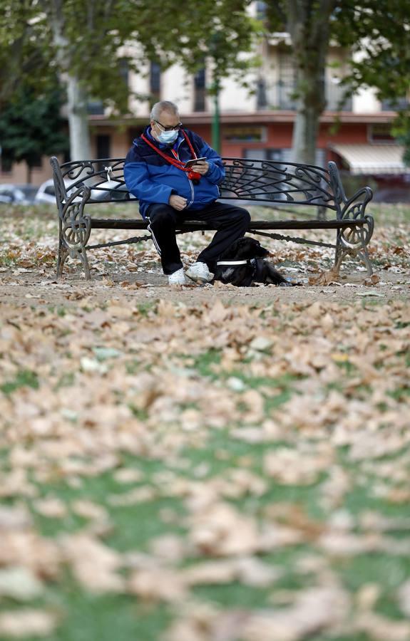 Las huellas del otoño en Córdoba, en imágenes