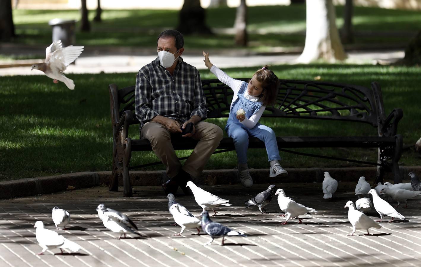 Las huellas del otoño en Córdoba, en imágenes