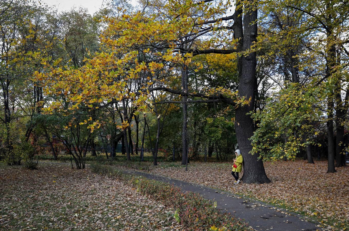 Colores otoñales en un parque urbano de Moscú