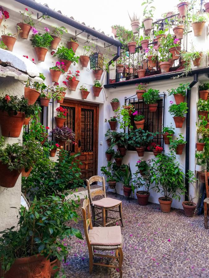 Los Patios de Córdoba 2020, desde el objetivos de los lectores de ABC