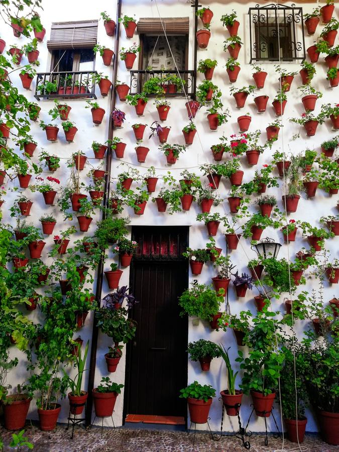 Los Patios de Córdoba 2020, desde el objetivos de los lectores de ABC