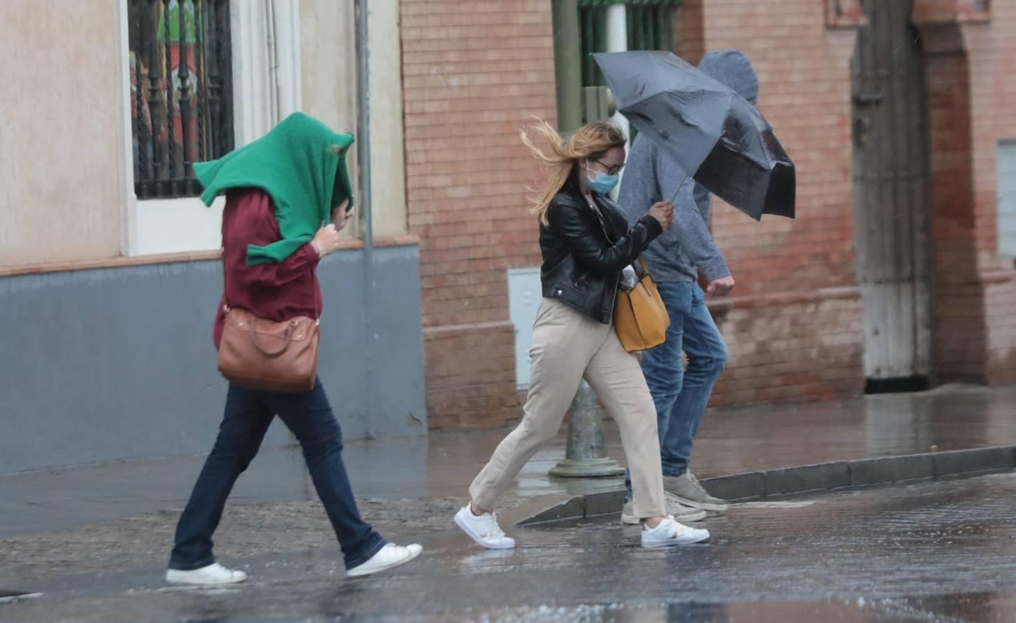 La borrasca Bárbara deja su huella en Sevilla