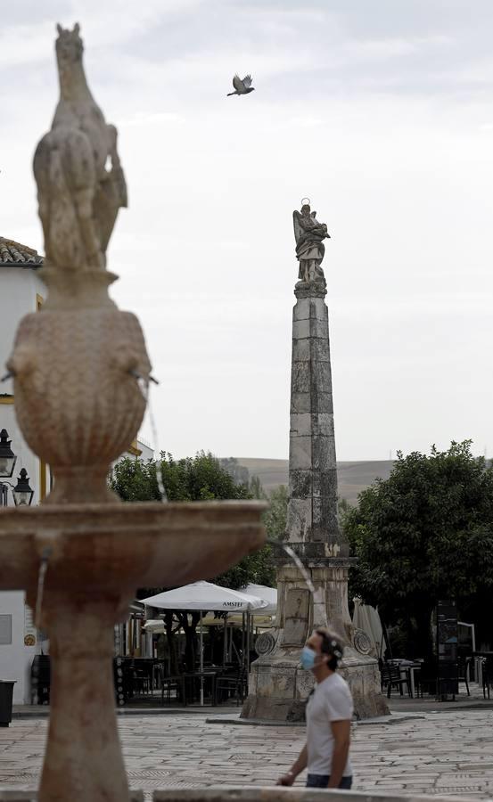 Los triunfos de San Rafael de Córdoba, en imágenes