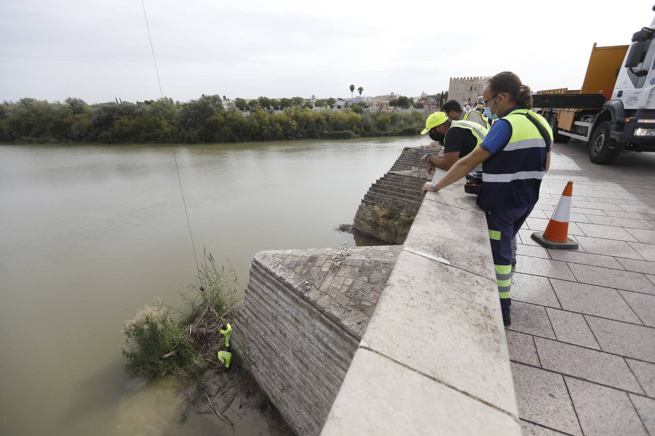 Operarios limpian de maleza y troncos el río Guadalquivir en Córdoba, en imágenes