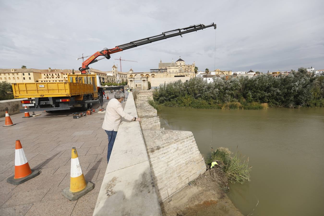 Operarios limpian de maleza y troncos el río Guadalquivir en Córdoba, en imágenes