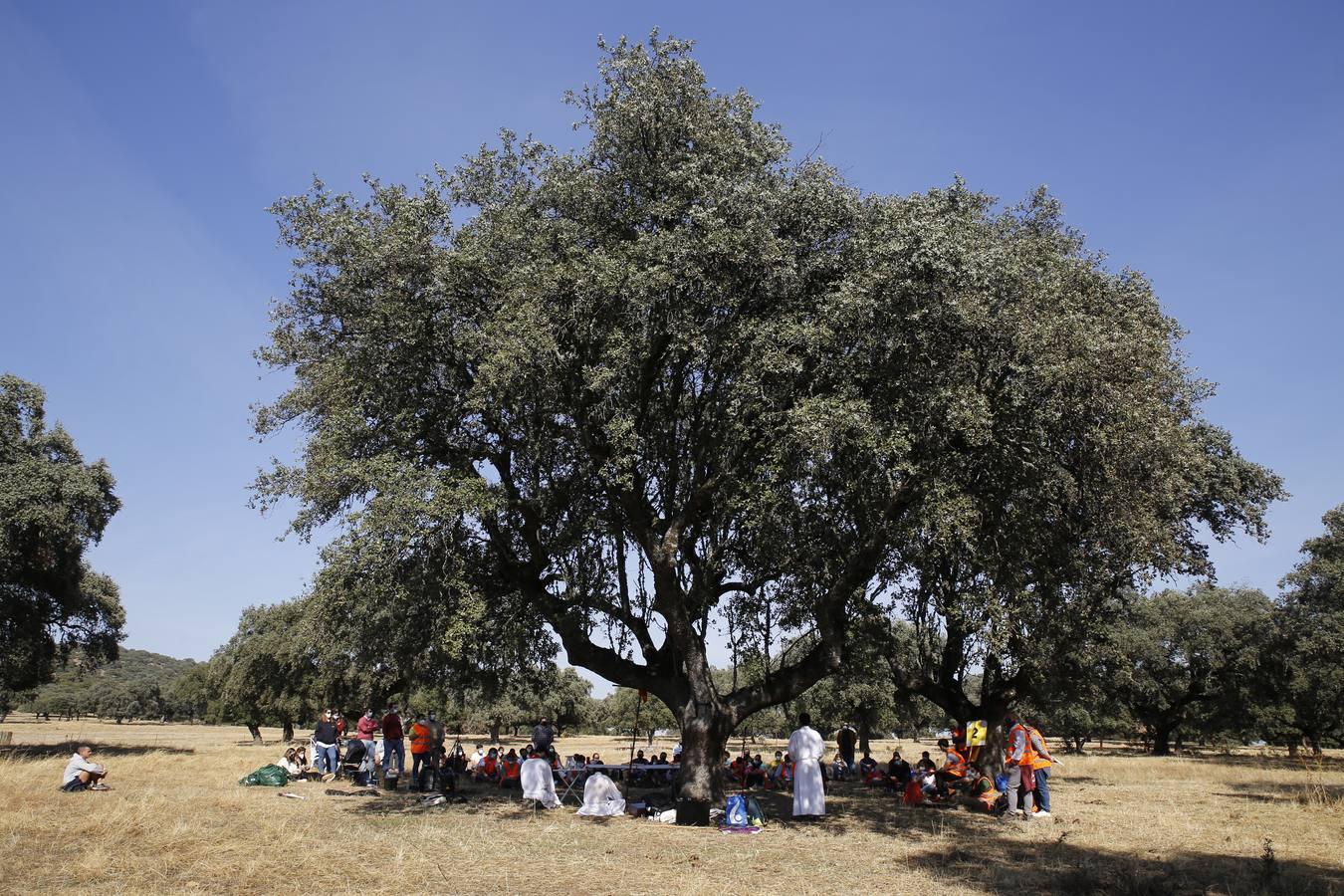 Así ha sido la peregrinación de los jóvenes de Córdoba a Guadalupe, en imágenes