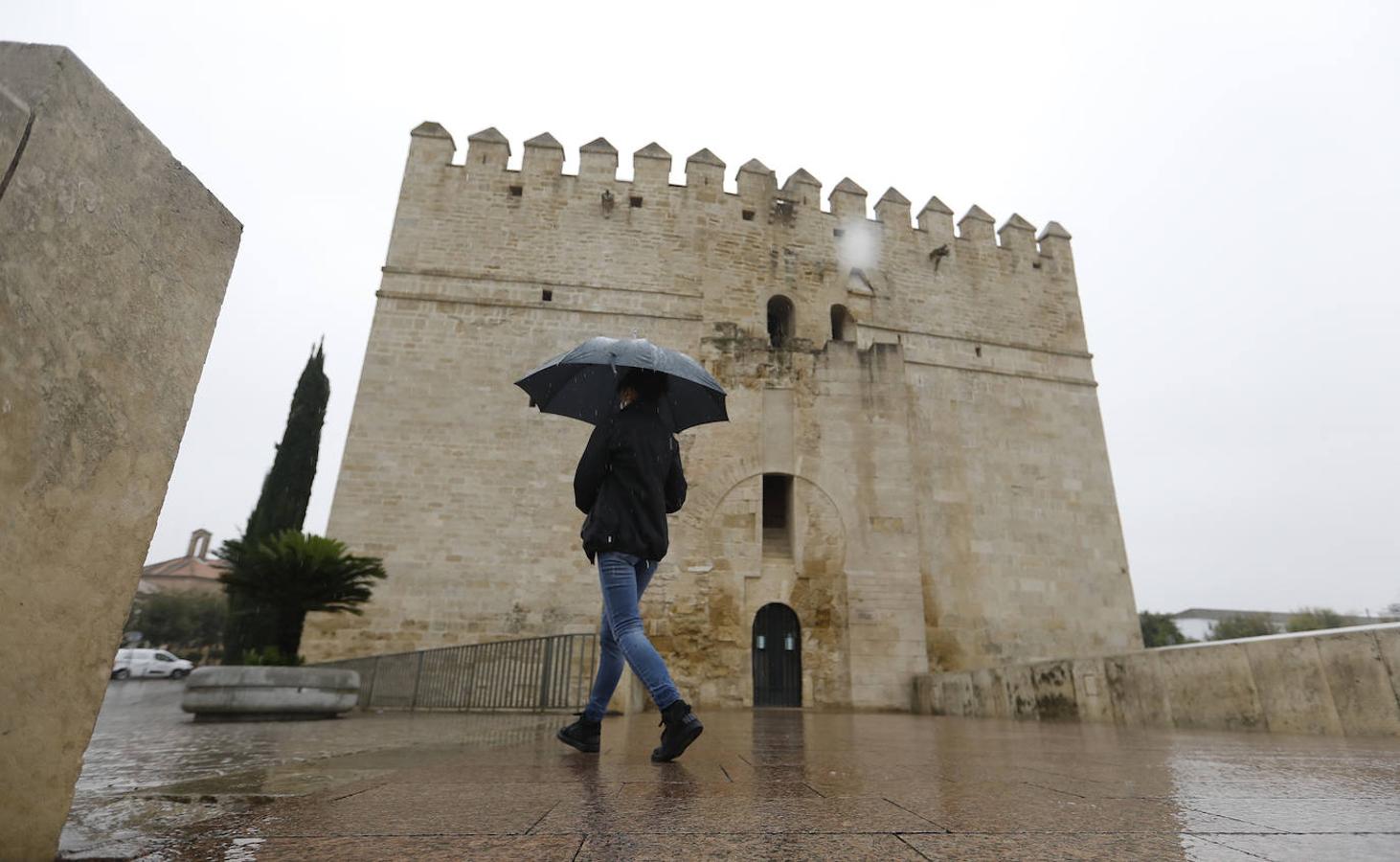 La situación de los museos privados de Córdoba, en imágenes