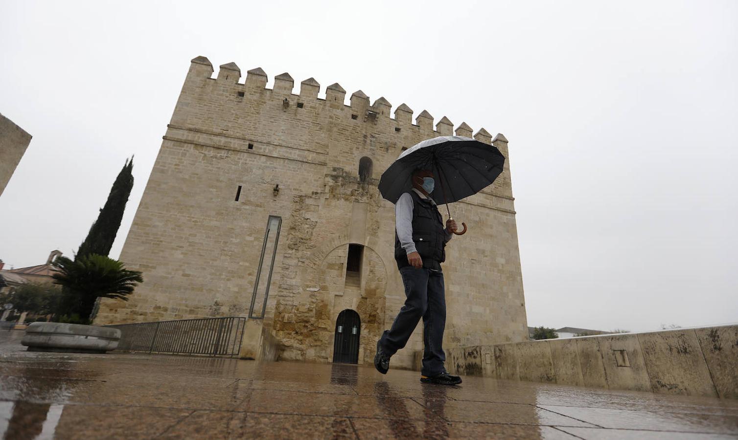 La situación de los museos privados de Córdoba, en imágenes