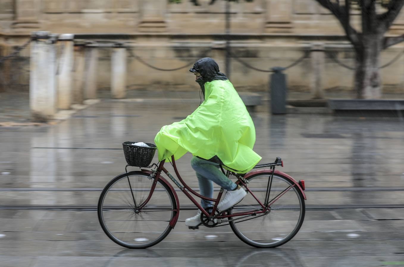 En imágenes, jueves lluvioso en Sevilla