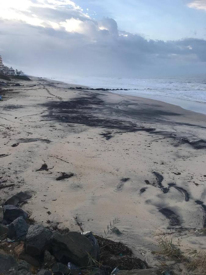 En imágenes, restos fecales en el paseo y playa de Matalascañas