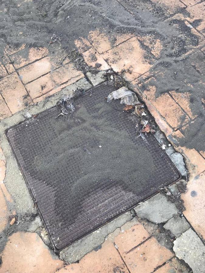 En imágenes, restos fecales en el paseo y playa de Matalascañas