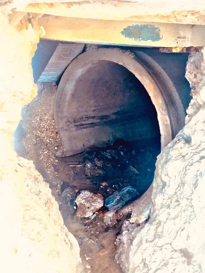 En imágenes, restos fecales en el paseo y playa de Matalascañas