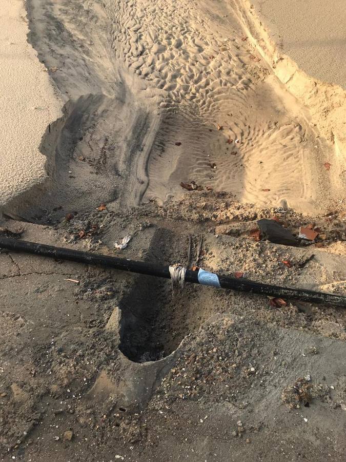 En imágenes, restos fecales en el paseo y playa de Matalascañas