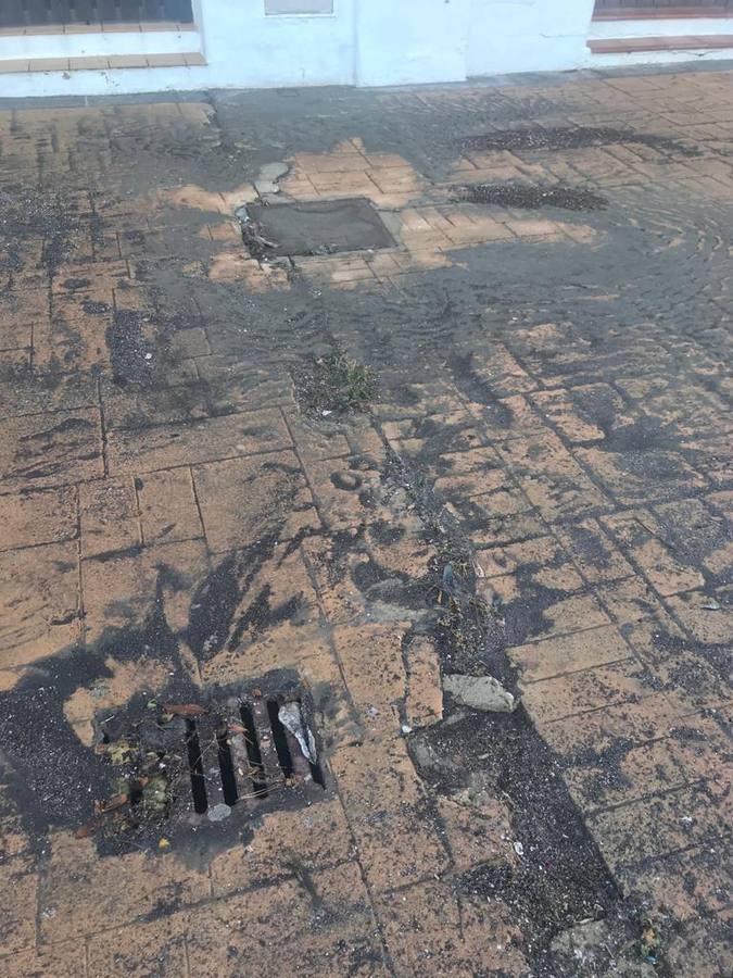 En imágenes, restos fecales en el paseo y playa de Matalascañas