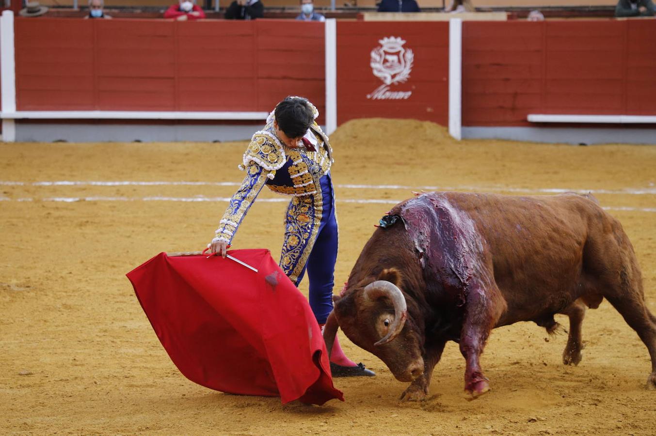 La corrida de Toros de Montoro, en imágenes