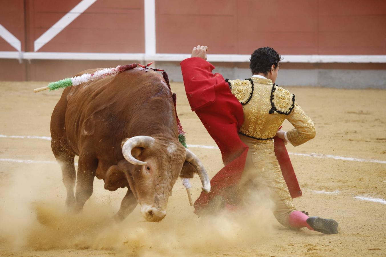 La corrida de Toros de Montoro, en imágenes