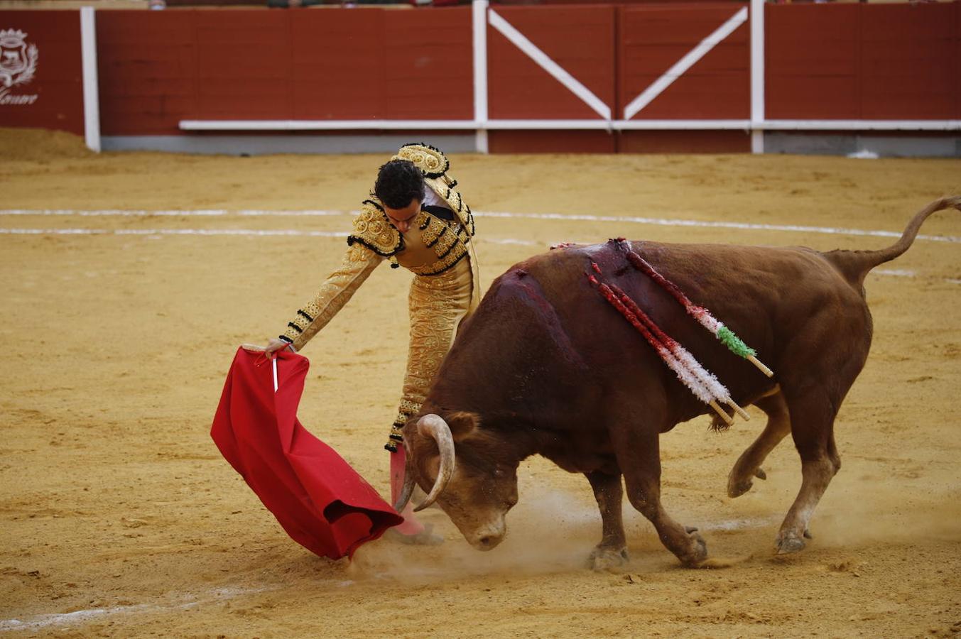 La corrida de Toros de Montoro, en imágenes