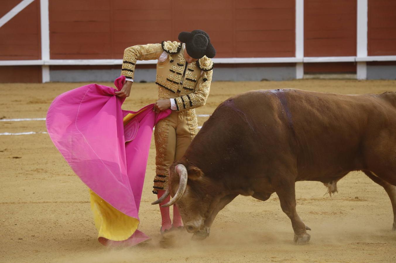 La corrida de Toros de Montoro, en imágenes