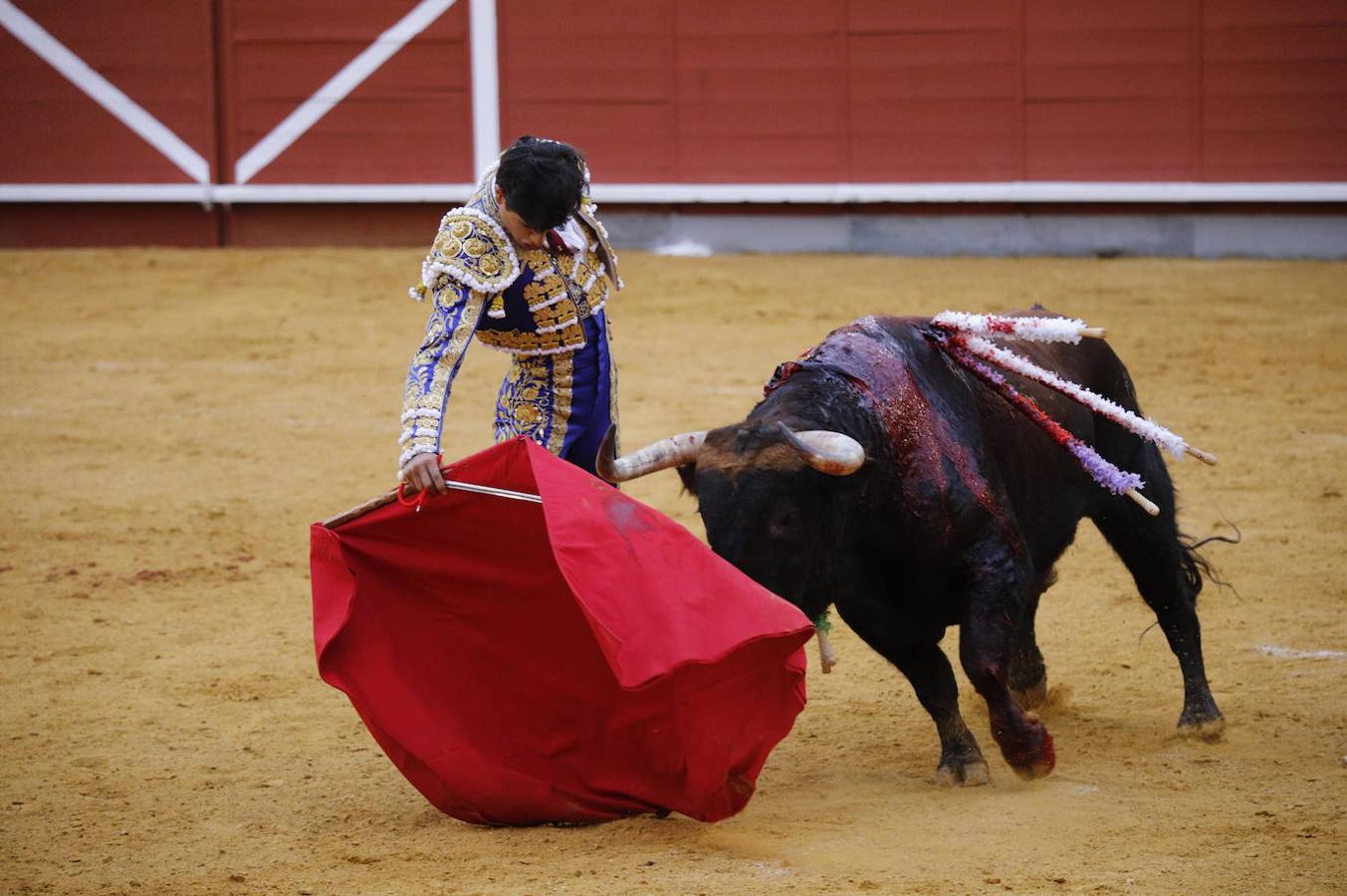 La corrida de Toros de Montoro, en imágenes