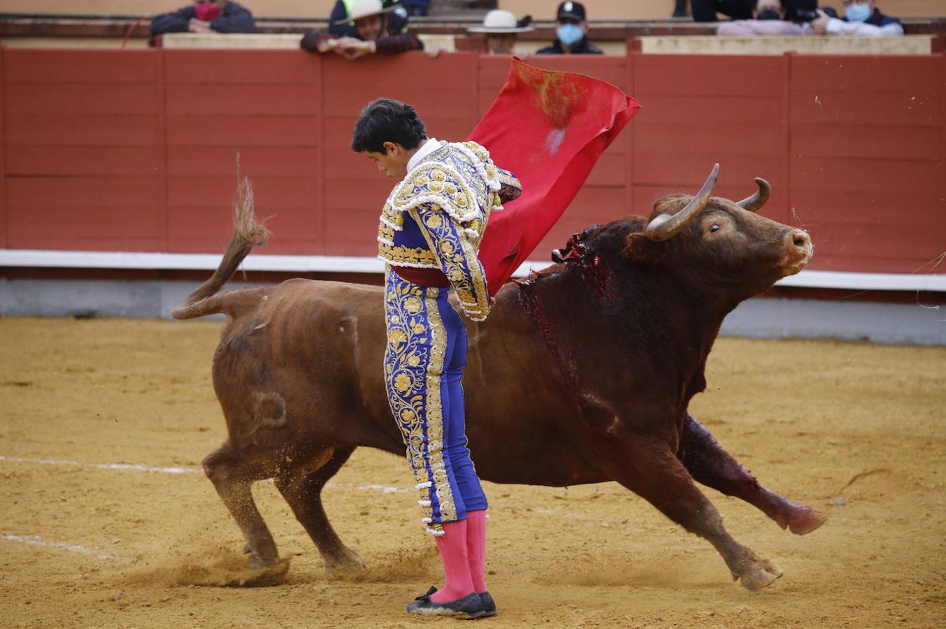 La corrida de Toros de Montoro, en imágenes