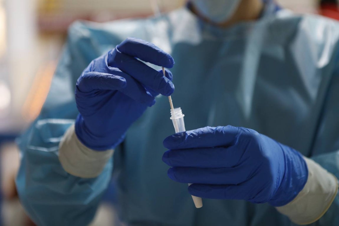 El cribado masivo en Córdoba, en imágenes