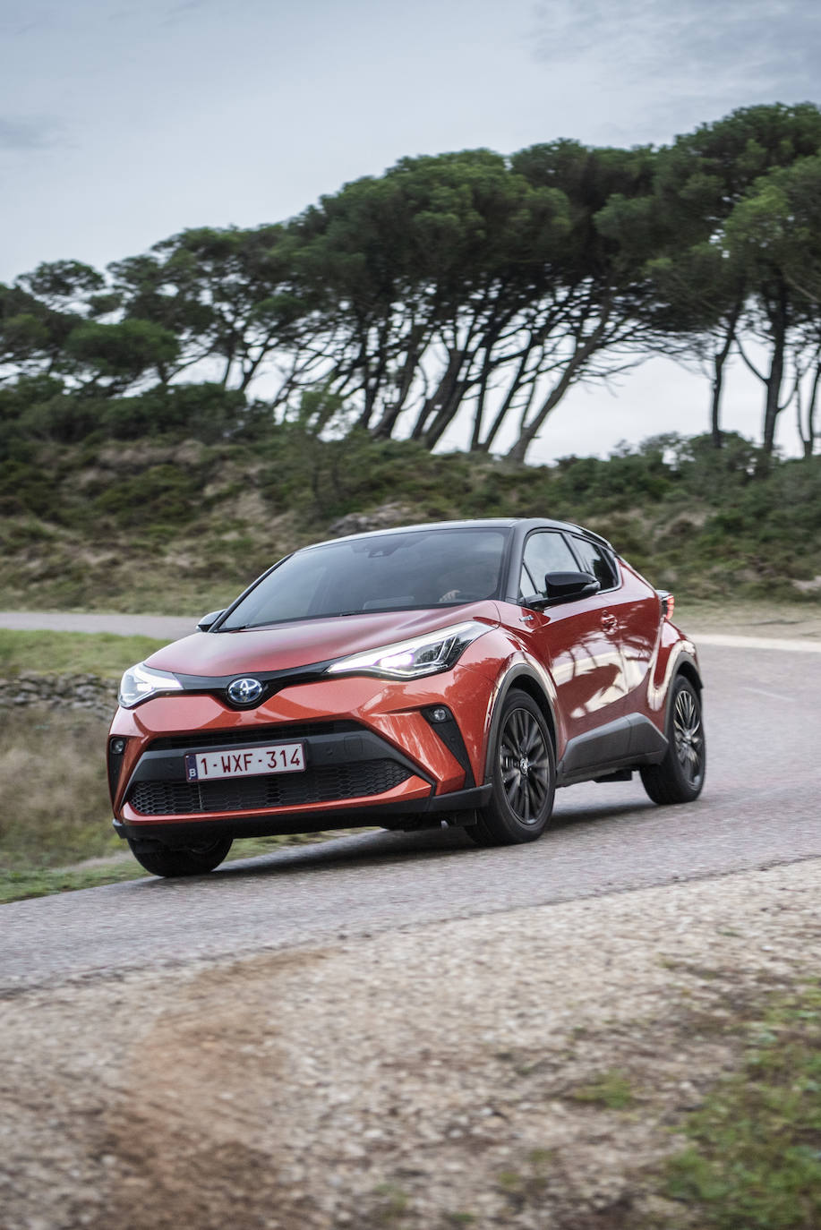 Fotogalería: Toyota C-HR Electric Hybrid 2021