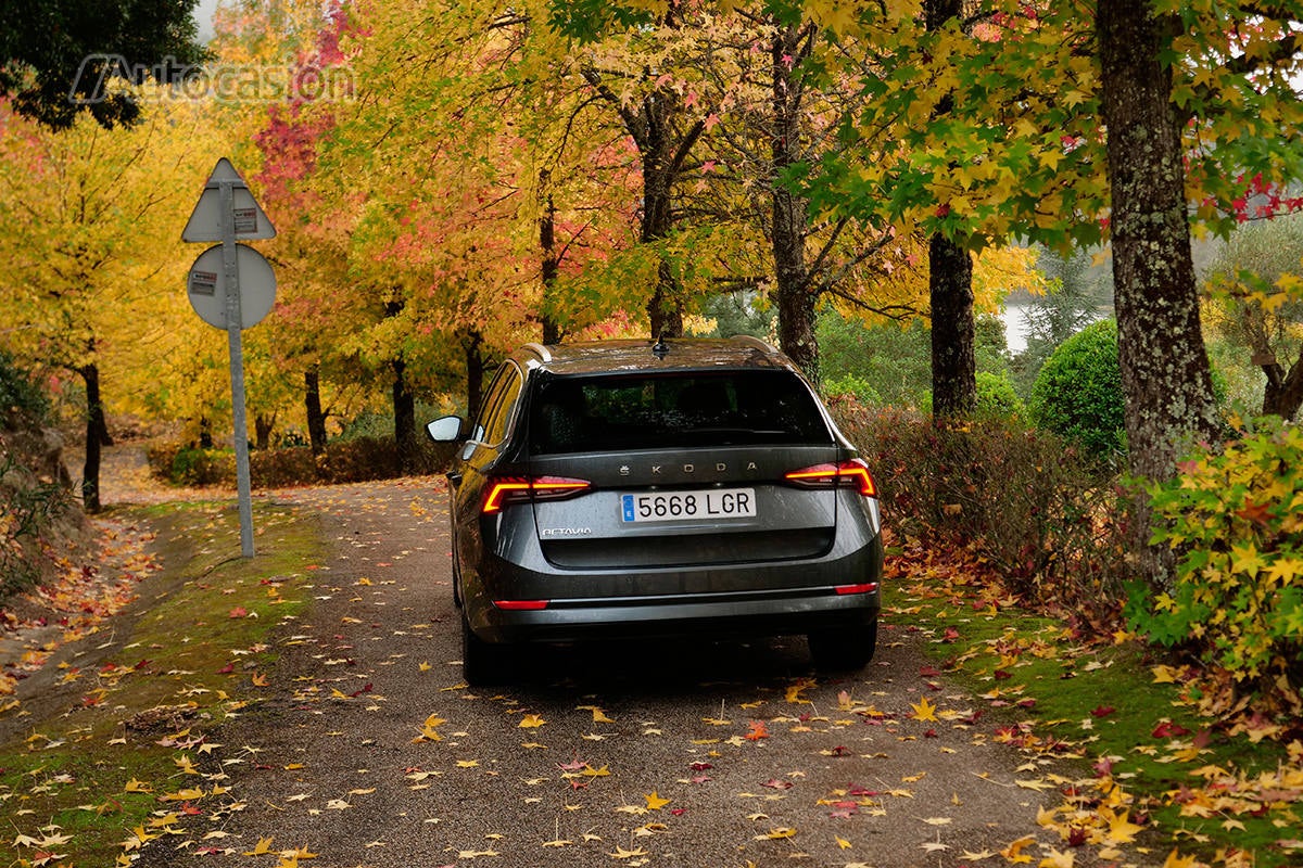 Fotogalería del nuevo Skoda Octavia Combi 2.0 TDi 2020